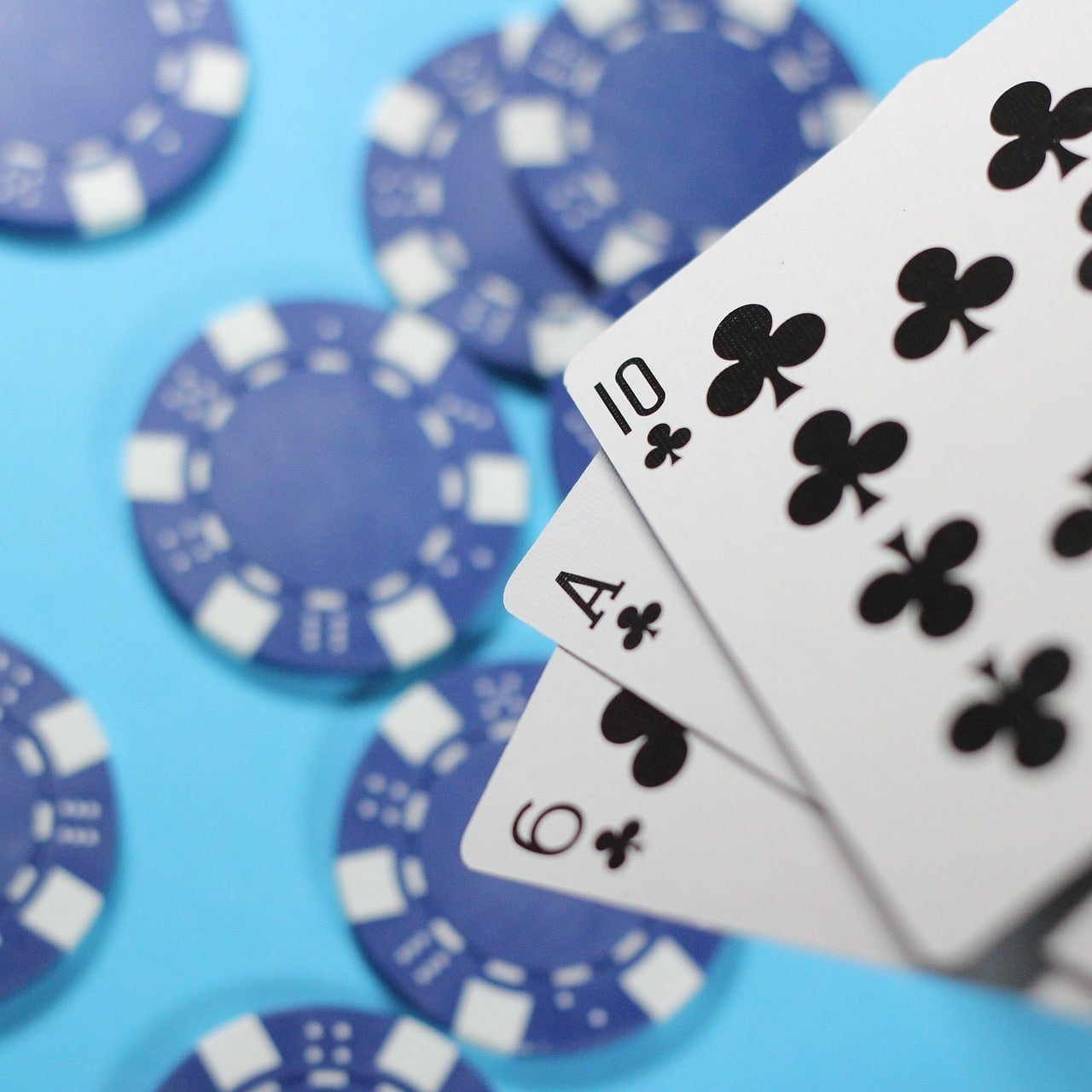 sorte bets